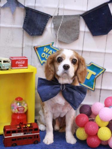 20230427マロくん